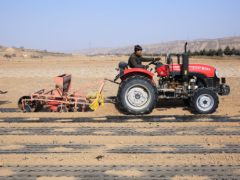How many acres of land can a 50 horsepower tractor plough in a day?